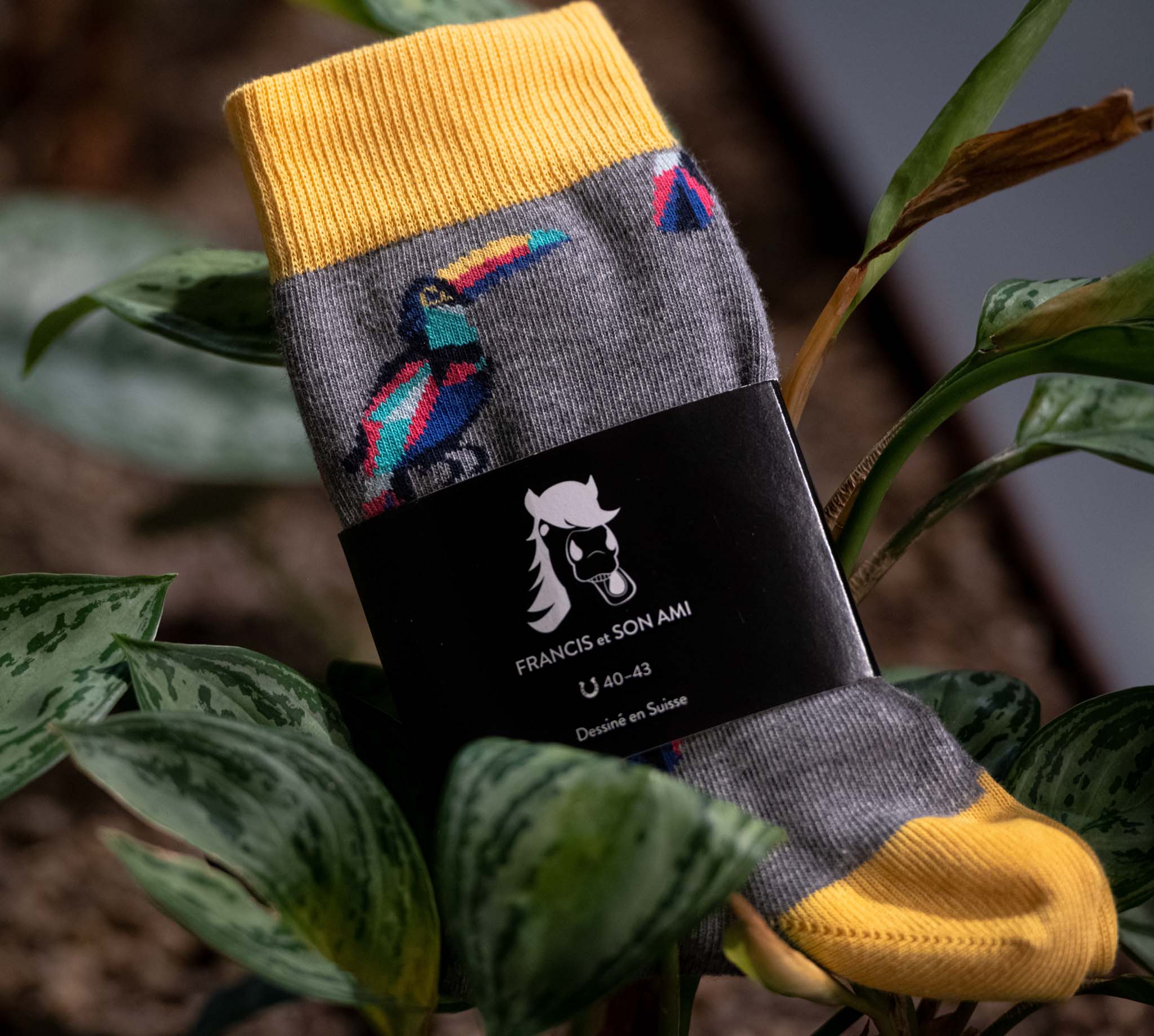 Farbige Socken Toco von FRANCIS et SON AMI