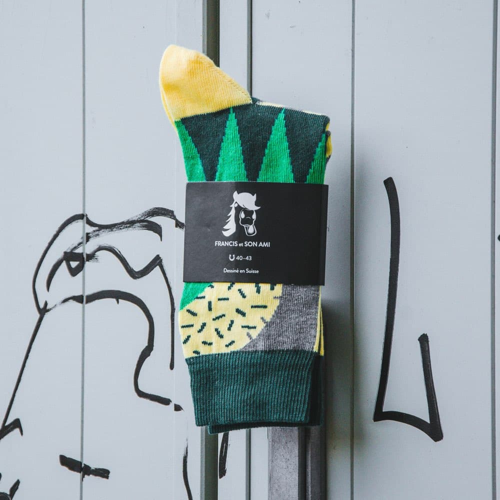 Farbige Socken Fabien von FRANCIS et SON AMI Grün Gelber Kaktus