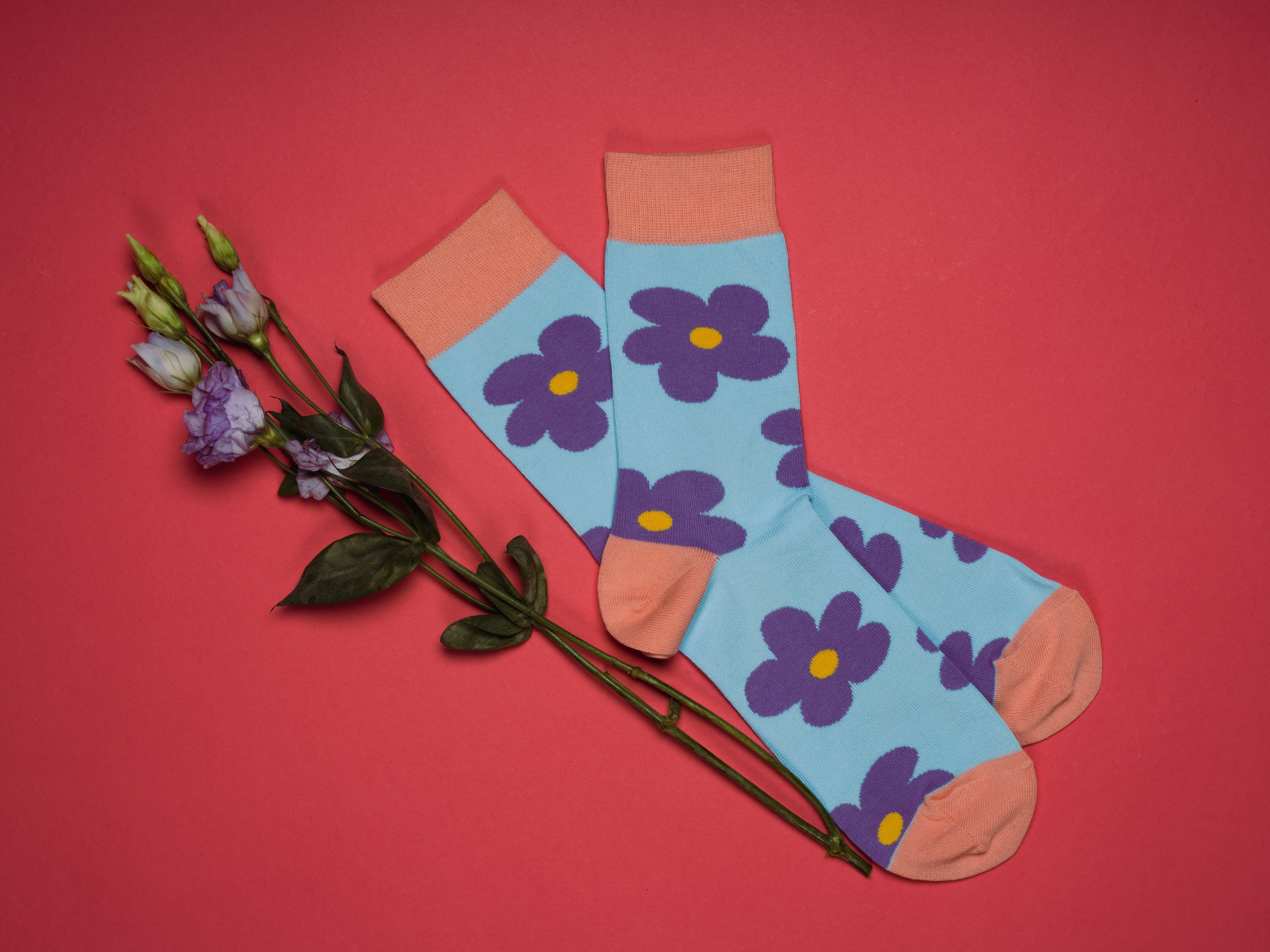 Farbige Socken Flora von FRANCIS et SON AMI